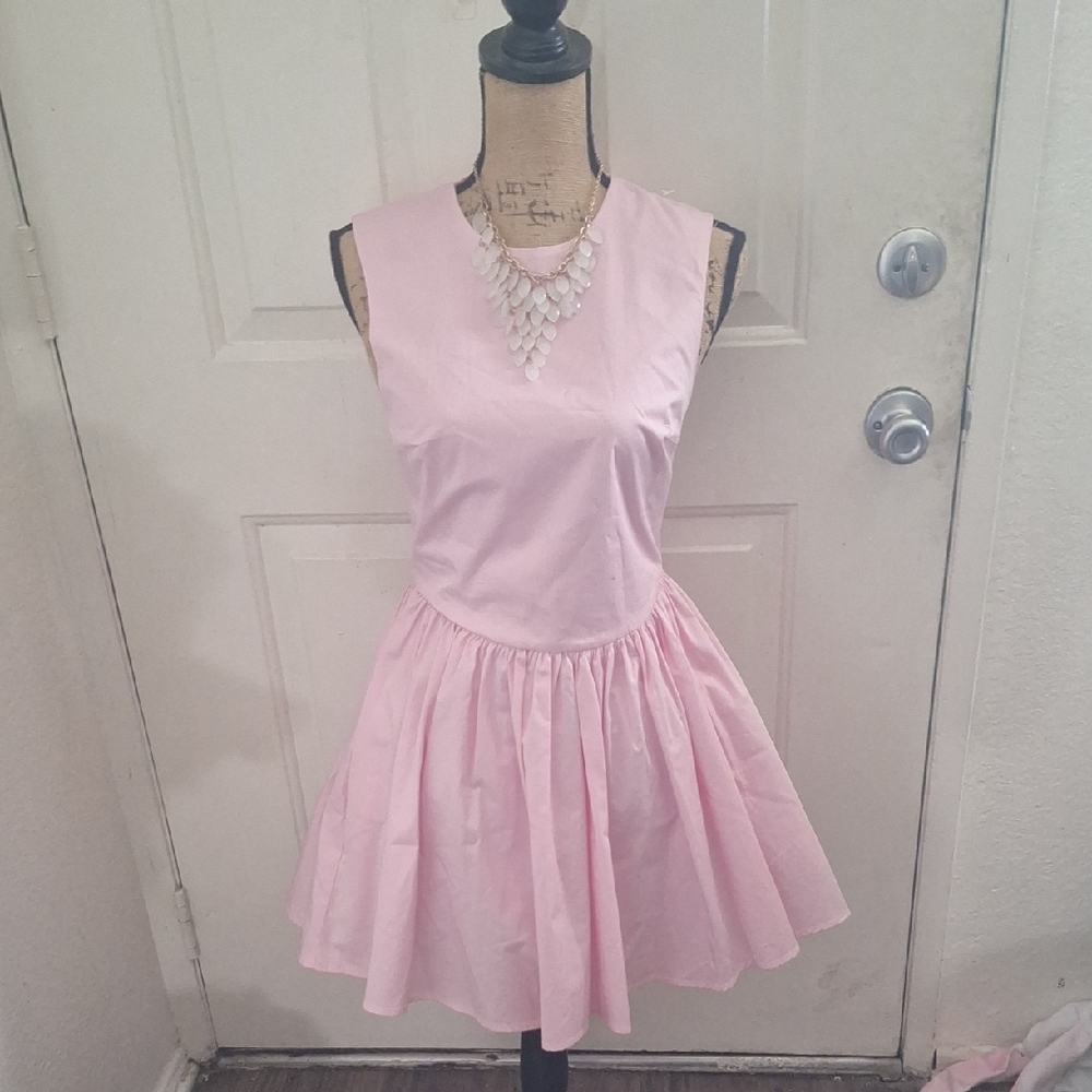 Zara Pight Pink Sleeveless Fit-and-Flare Dress